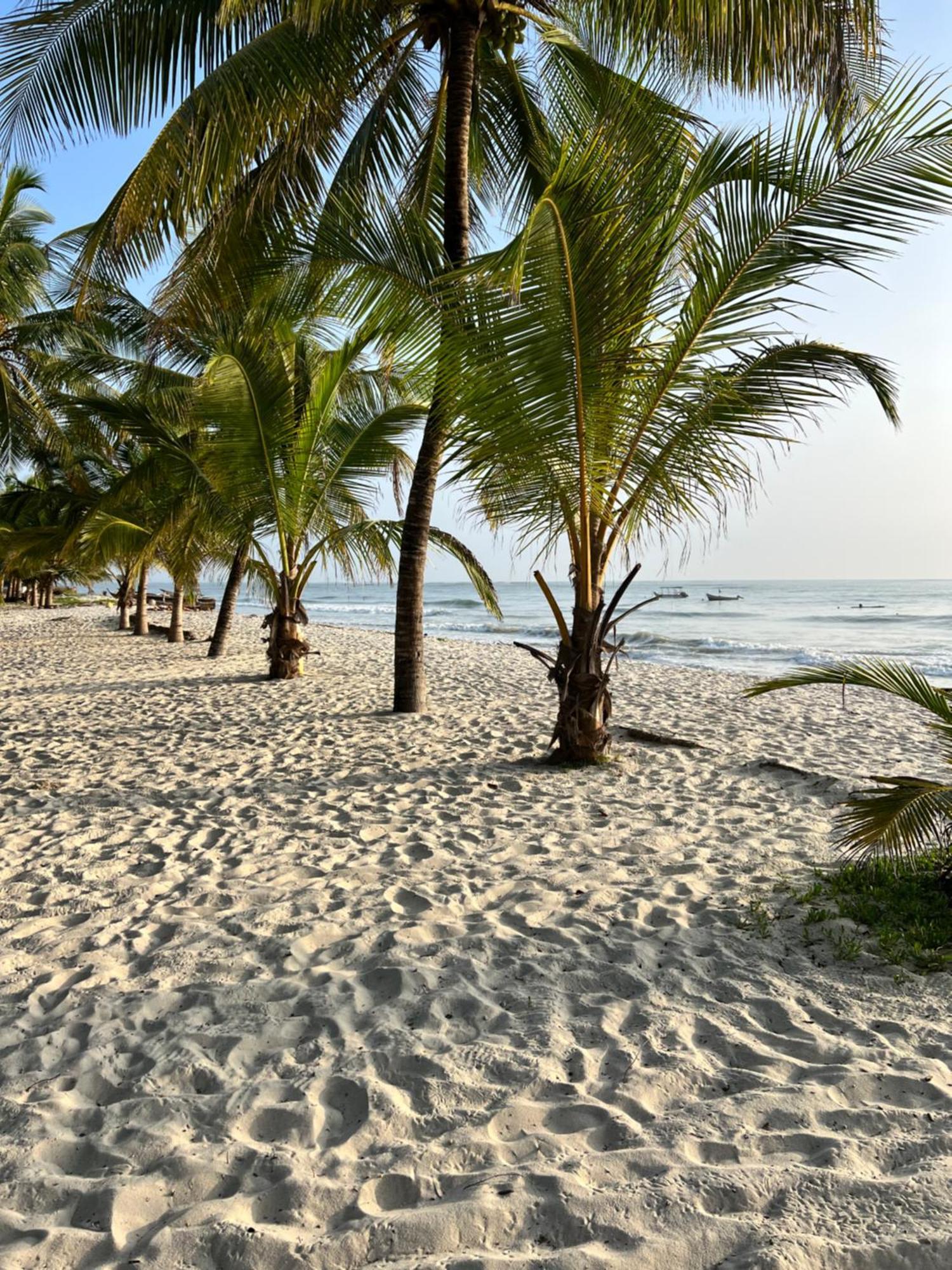 Waves And Wanderlust-Diani Beach Extérieur photo
