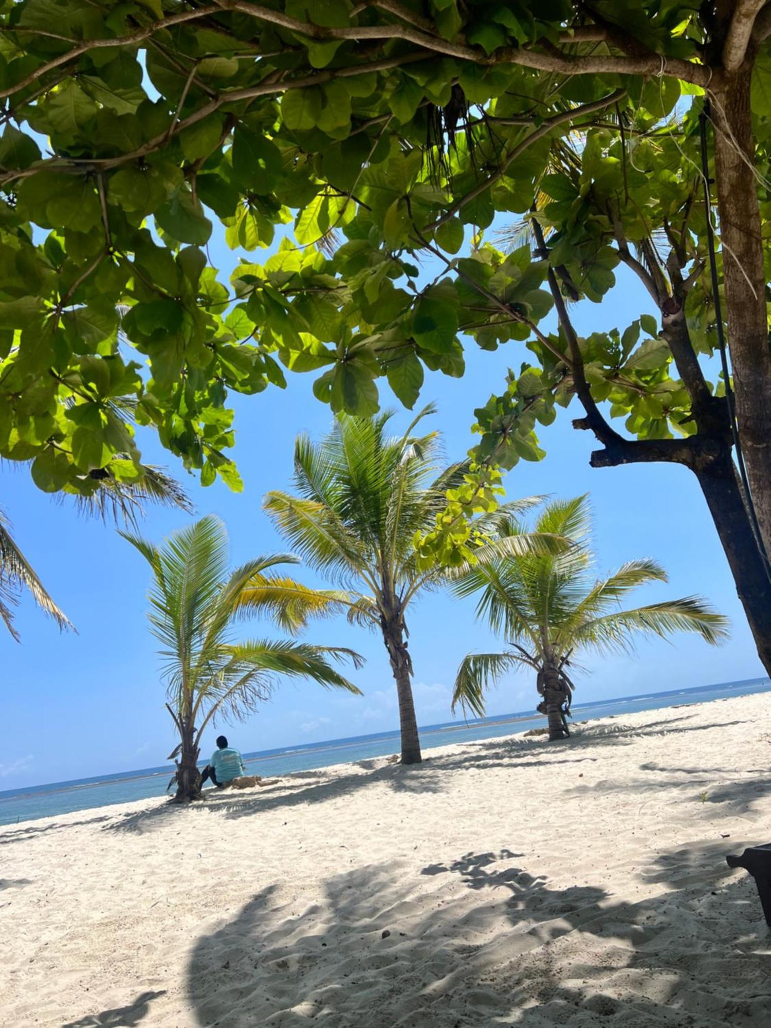 Waves And Wanderlust-Diani Beach Extérieur photo