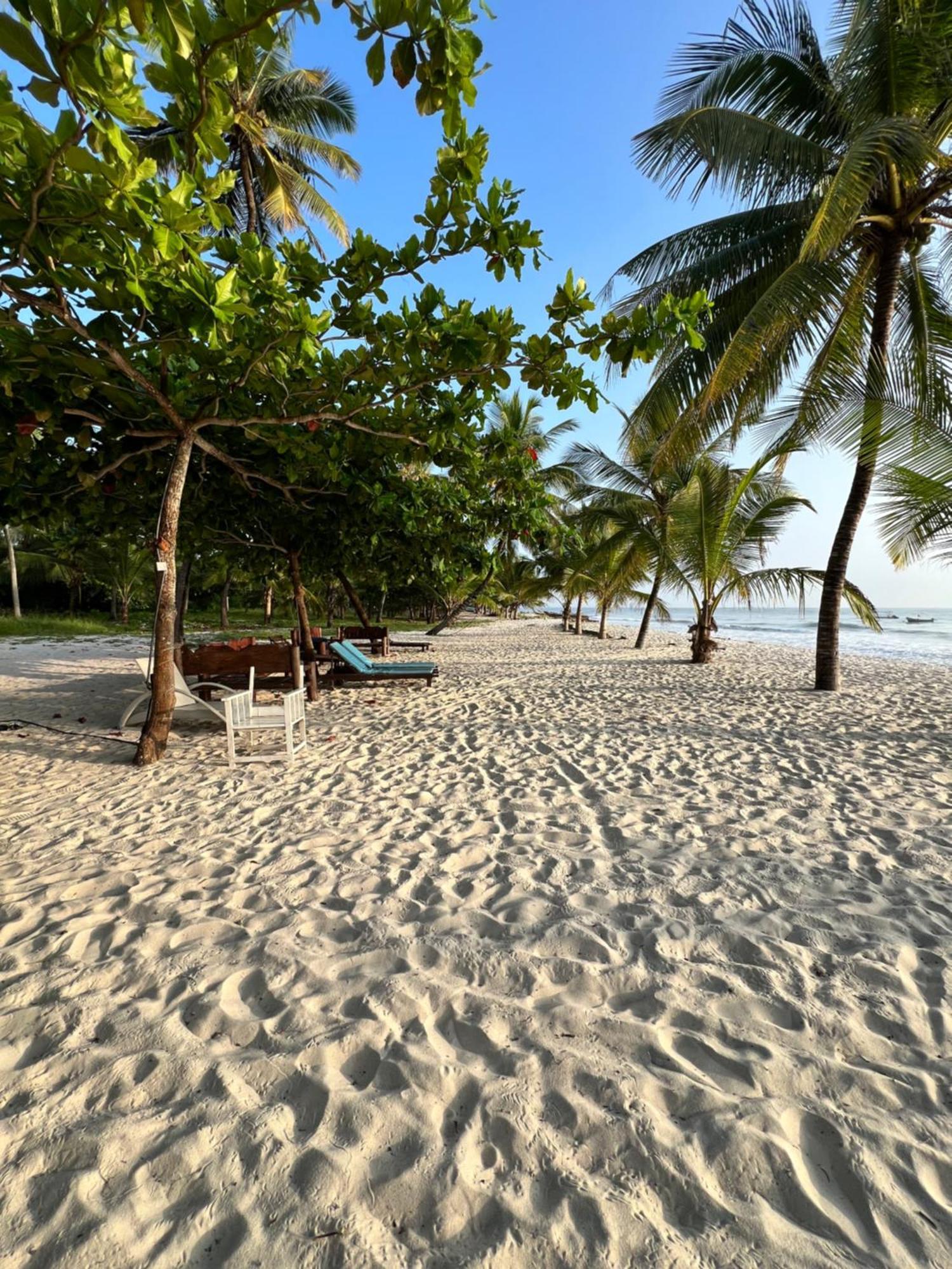 Waves And Wanderlust-Diani Beach Extérieur photo
