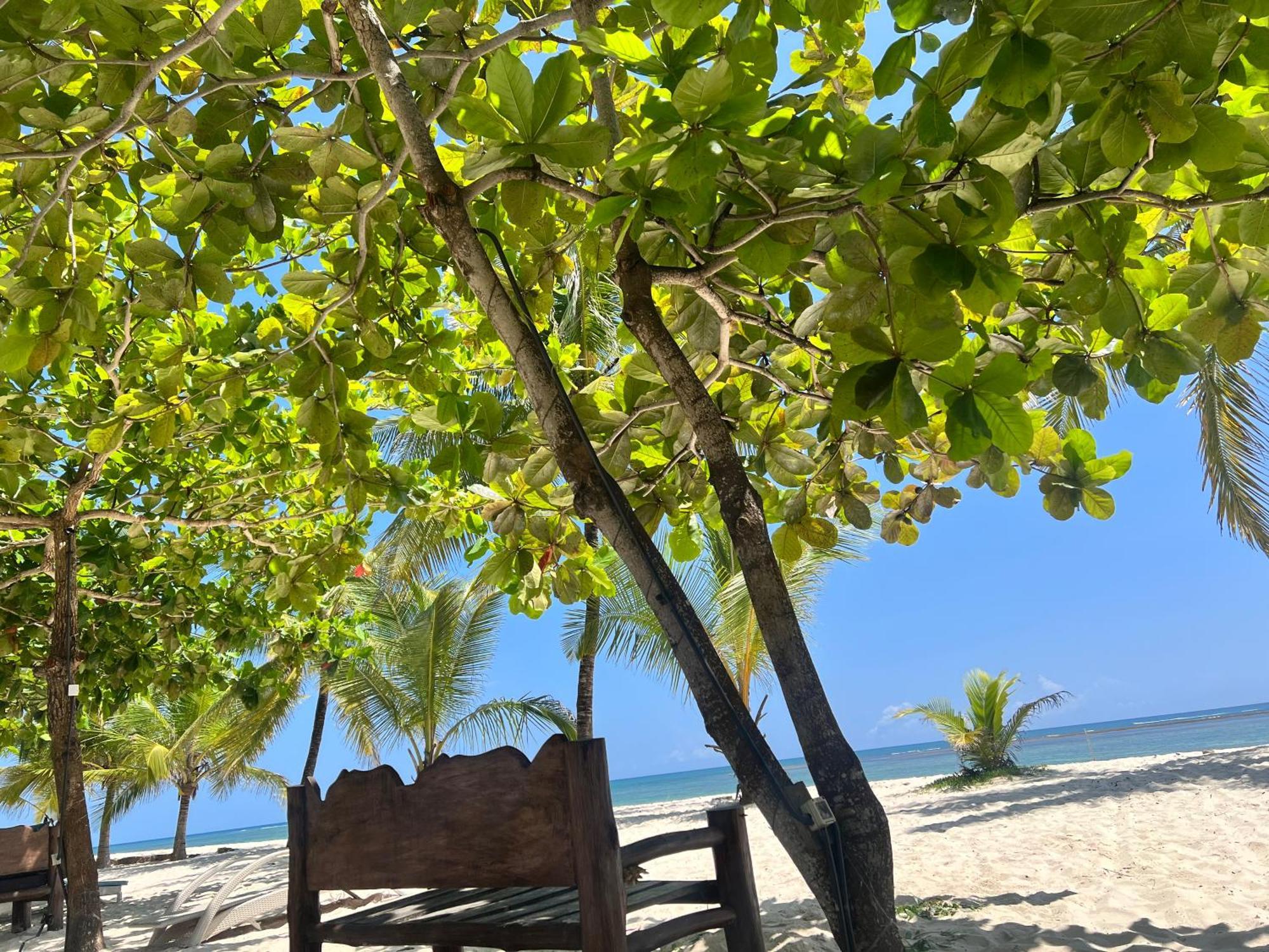 Waves And Wanderlust-Diani Beach Extérieur photo